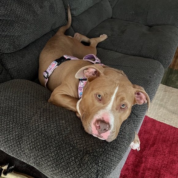 Meet me! ๐๐ผ๐ - Picture 3 of 16